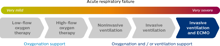 Инвазивная вентиляция легких и ЭКМО, изображение