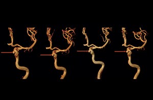 banner catalog image