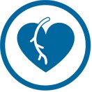 coronary_suite image