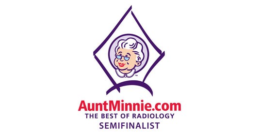 Полуфиналист премии Aunt Minnie