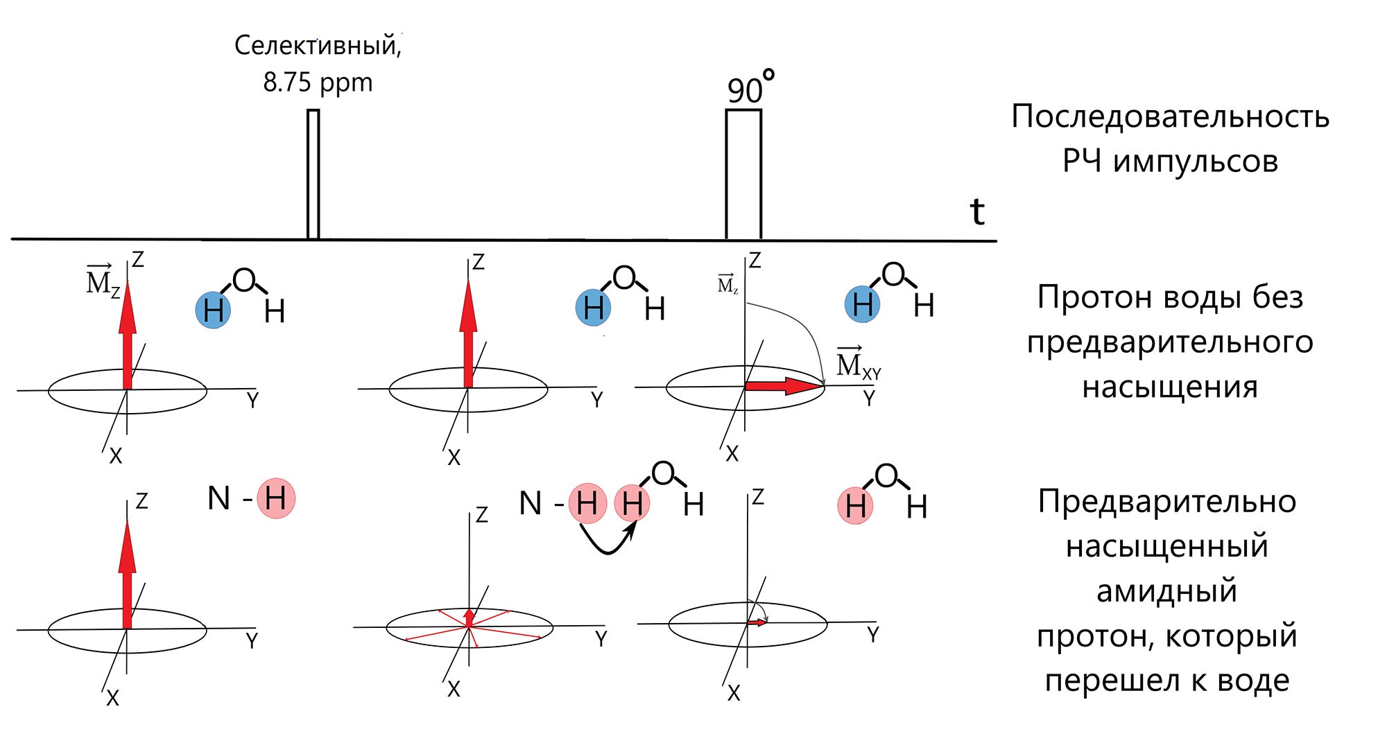 Figure showing the change in the magnetic moments