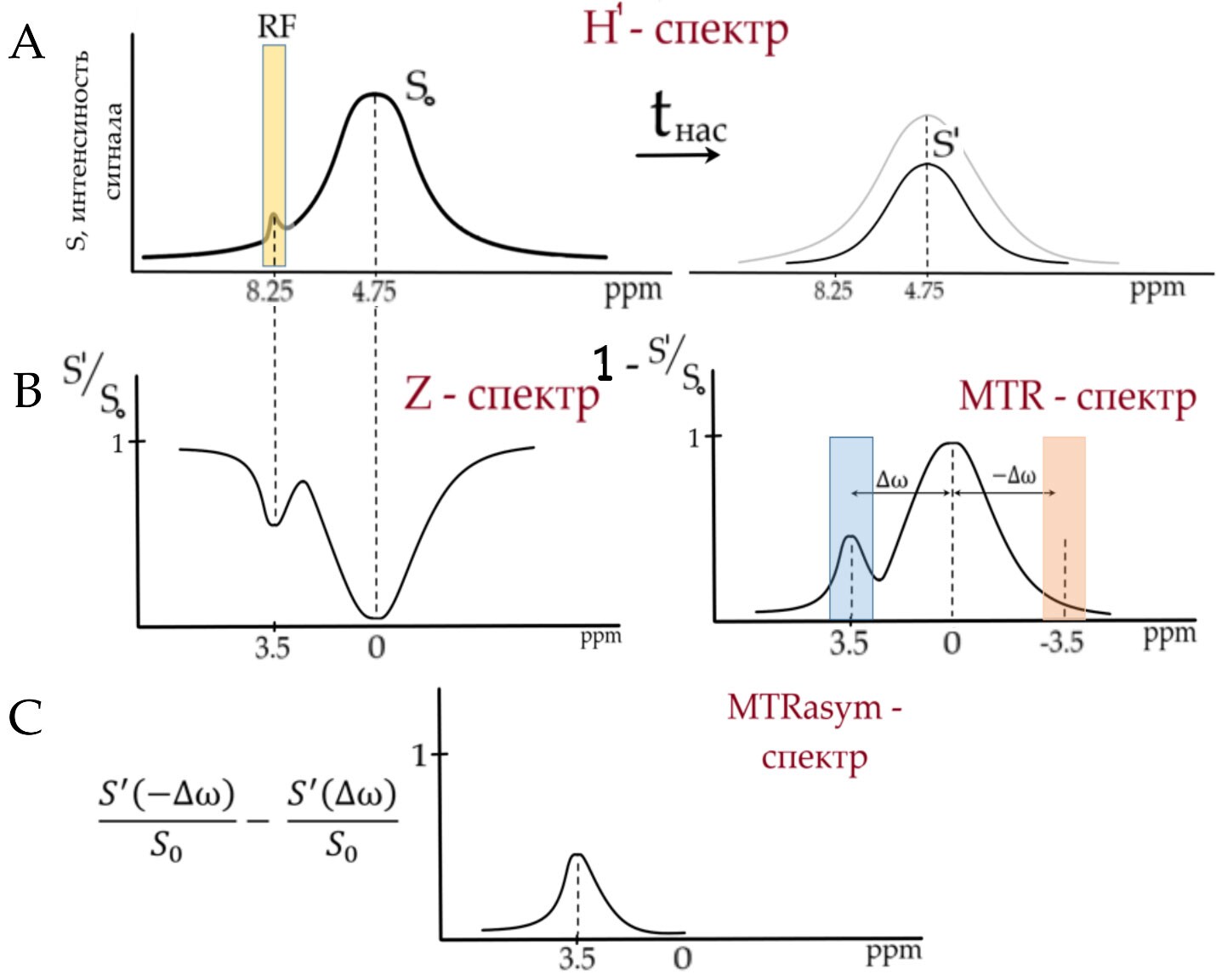 Figure showing water signal in H1 spectrum together with the area of ​​influence of the pre-saturation selective RF pulse