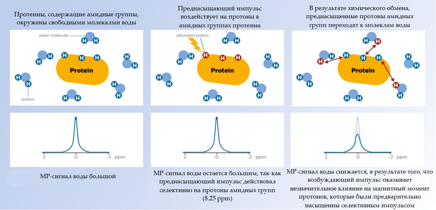 Visualization of the exchange process and reduction of the water signal in stages