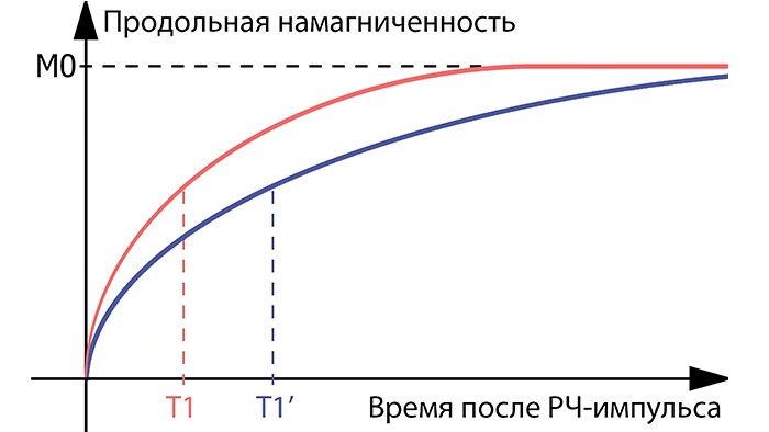 Рис. два