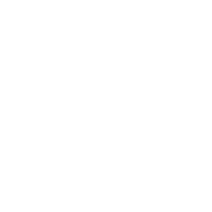 Lung image