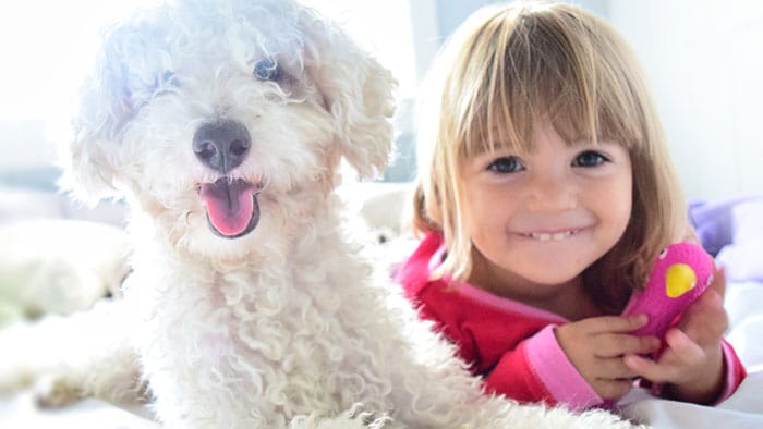 Могут ли дети c астмой, иметь домашних животных?