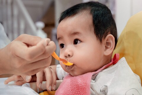 Рекомендации по введению прикорма у малышей