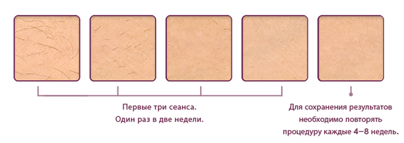 Таблица с информацией о процедурах