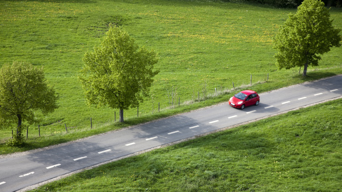 дорога и лес