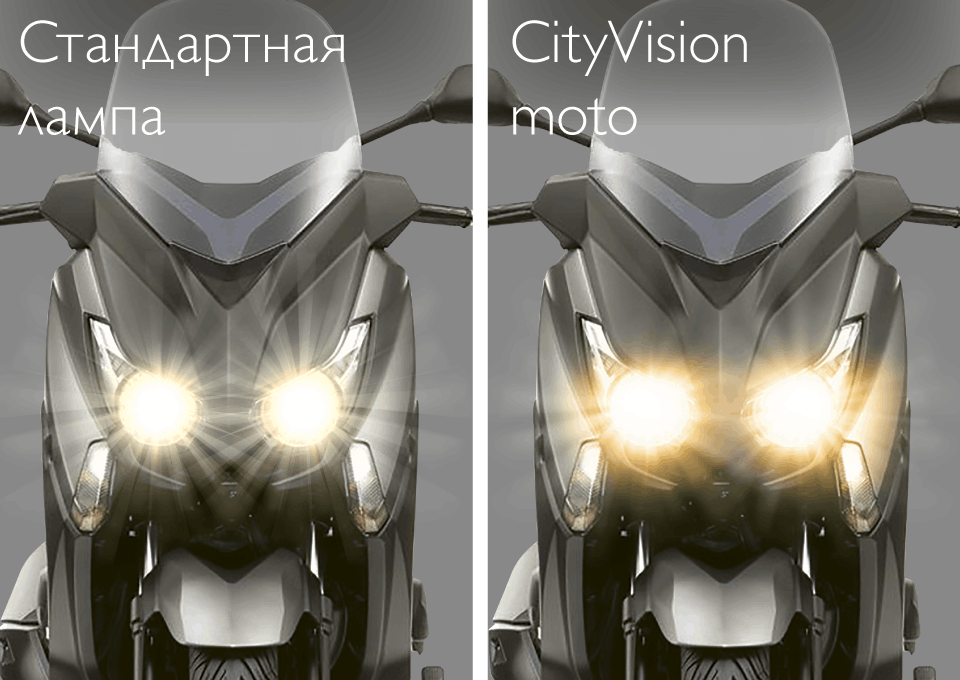CityVision Image