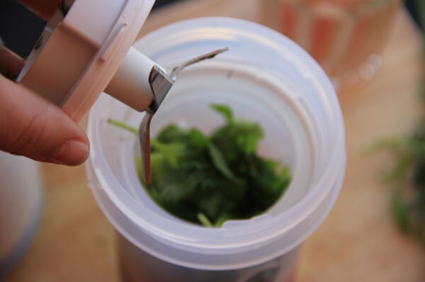 Vegetable smoothie 5