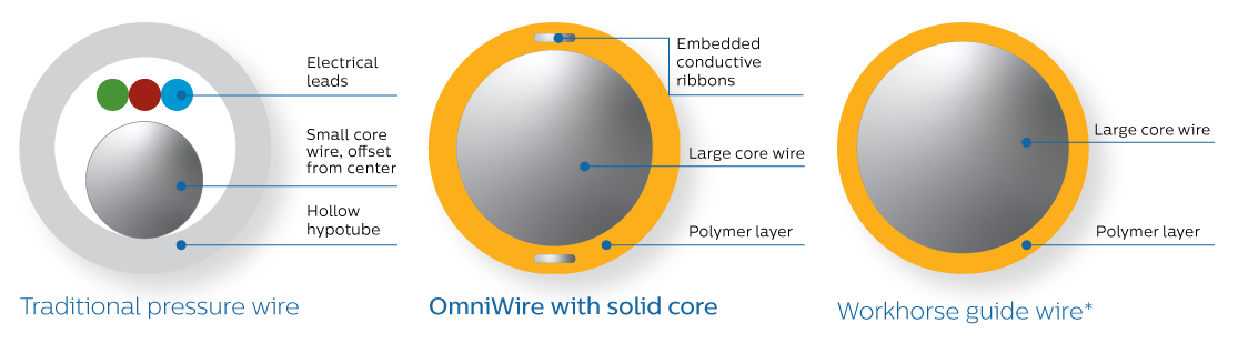 Поперечный срез проксимальной части
