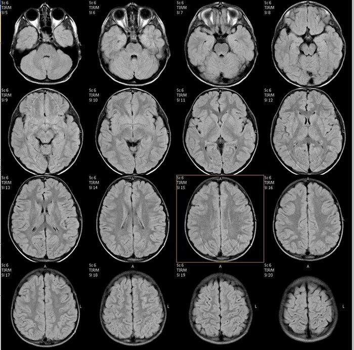 dcp чутье l изображение (download .jpg)