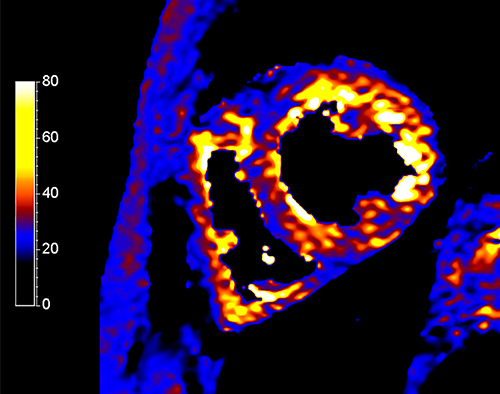 Рис. десять