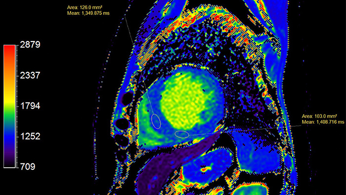 Рис. восемь