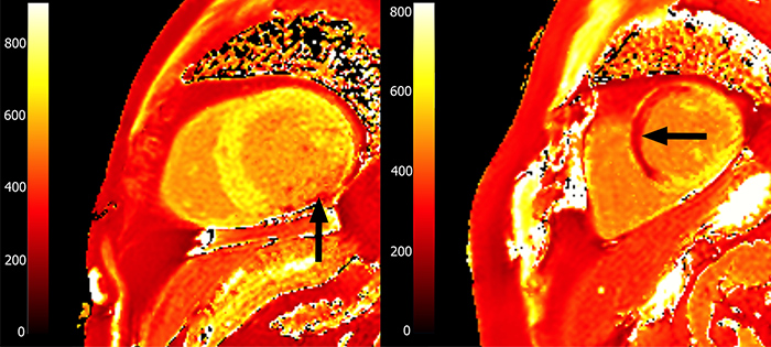 Рис. девять