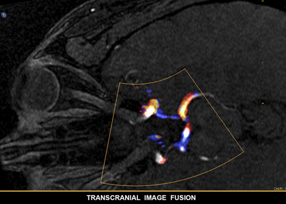 banner catalog image