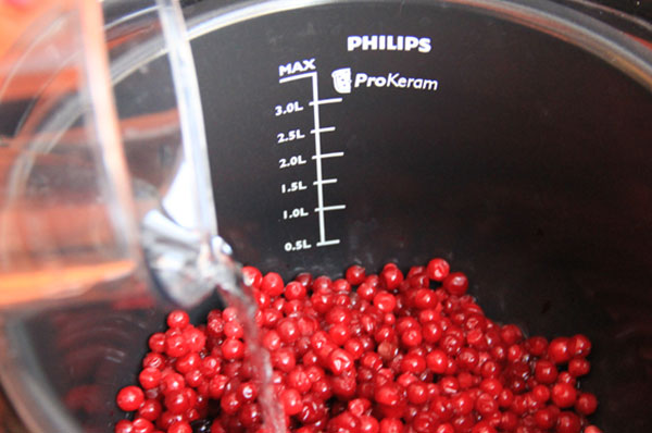 Пряный брусничный соус