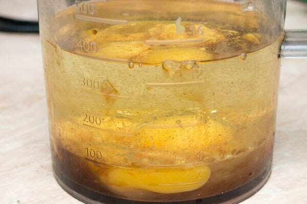 Протооливье