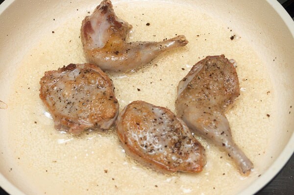 Протооливье